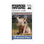Oink for Peace Postage