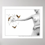 Oiseaux et abeilles - Birds and bees Posters