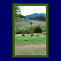 Ojai Deer Poster with Customizable Frame Color posters