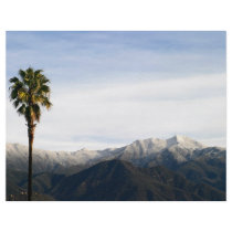 Ojai Palm Flyers