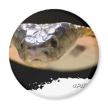 Ojatro Spitting Cobra 01 Magnets