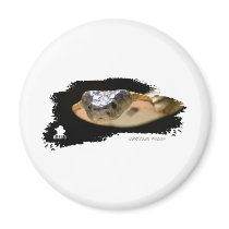 Ojatro Spitting Cobra 01 Fridge Magnet