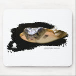 Ojatro Spitting Cobra 01 Mouse Pad