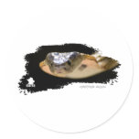 Ojatro Spitting Cobra 01 Stickers