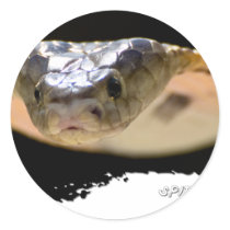 Ojatro Spitting Cobra 01 Round Sticker