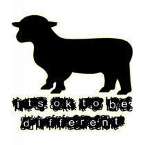 ok black sheep farm tshirts