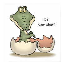 OK. Now what? posters