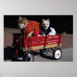 OK so who is going to pull? Print