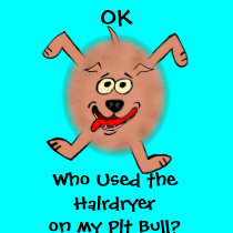 OK, Who Used the Hairdryer? t-shirts