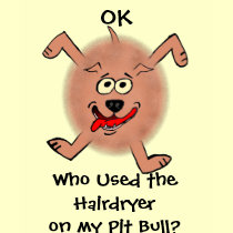 OK, Who Used the Hairdryer? t-shirts