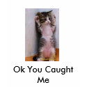 Ok You Caught Me t-shirts