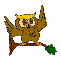 Okala Owl photo sculptures by BisforBirds Okala Owl photo sculptures