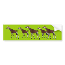 Okapi Bumper Sticker