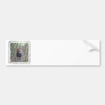 Okapi  Bumper Sticker