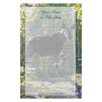 Okapi Stationery