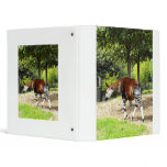 Okapi walking away binders