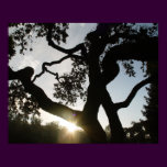 Oke tree