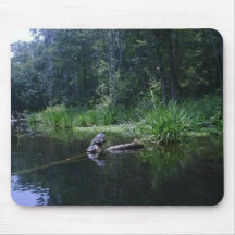 Okeefenokee Turtles Mouse Pad