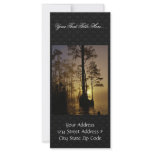 Okefenokee National Wildlife Refuge, Georgia Rack Card