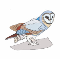 Okie Owl photo sculptures