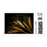 Oklahoma!Amber Waves of Grain Postage Stamp