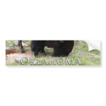 Oklahoma Bison Bumper Sticker