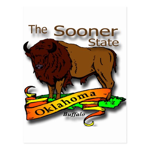 Oklahoma Buffalo Sooner State 2 Postcard Zazzle