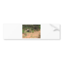 Oklahoma City bumper stickers by tina312 Oklahoma City bumper stickers