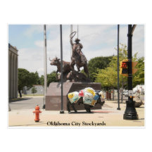 Oklahoma City Stockyards buffalo and cowboy Post Cards