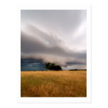 Oklahoma Storm Post Cards