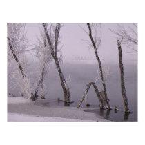 Oklahoma Winter Poster posters