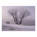 Oklahoma Winter posters by Shadowchaser Oklahoma Winter posters