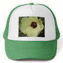 Okra Bloom Hat by greatphotos Okra Bloom Hat