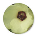 Okra Bloom Magnet by greatphotos Okra Bloom Magnet
