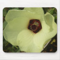 Okra Bloom Mousepad by greatphotos Okra Bloom Mousepad