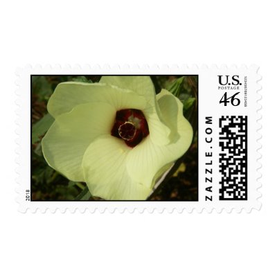 Okra Bloom Postage Stamp by greatphotos
