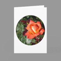 Oktoberfest Grandiflora cards by wksimages Oktoberfest Grandiflora cards