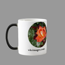 Oktoberfest Rose mugs