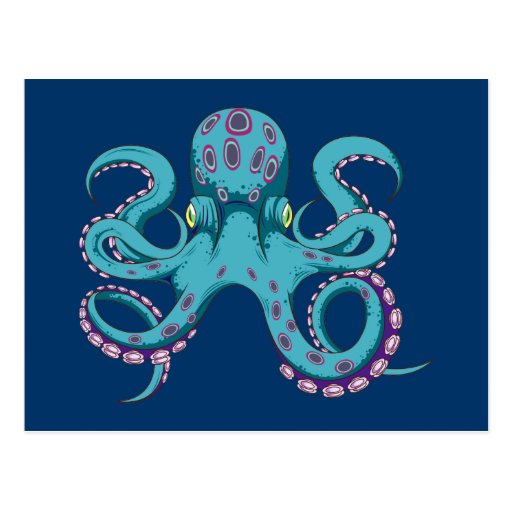 Oktopus Krake octopus kraken Postcard