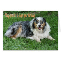 Ol' Duke Greeting Card
