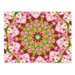 Ola Boo's Pink & Green Kaleidescope Post Card