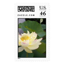 Olbrich Botanical Gardens postage by dstachov Olbrich Botanical Gardens postage