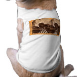 Old Abe, The Wisconsin War Eagle- Stereoview pet clothing