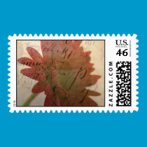 Old and New Postage Stamp stamps
