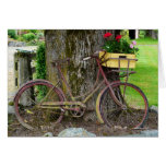 Old Antique Bicycle with Flower Basket cards
