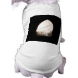 Old arch window, with Winter Trees. Dog Shirt