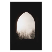 Old arch window, with Winter Trees. Custom Flyer