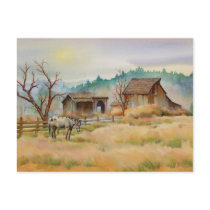 OLD BARN & APPALOOSA by SHARON SHARPE Postcard