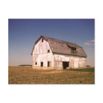 Old Barn Color Photo Postcards