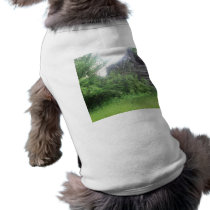 old barn pet clothing